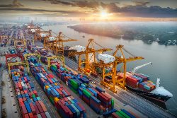 Nexus Study Analysis